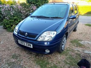 Renault Scenic  in Rye | Friday-Ad