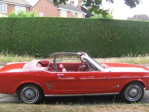 FORD MUSTANG  CONVERTIBLE in Hailsham | Friday-Ad