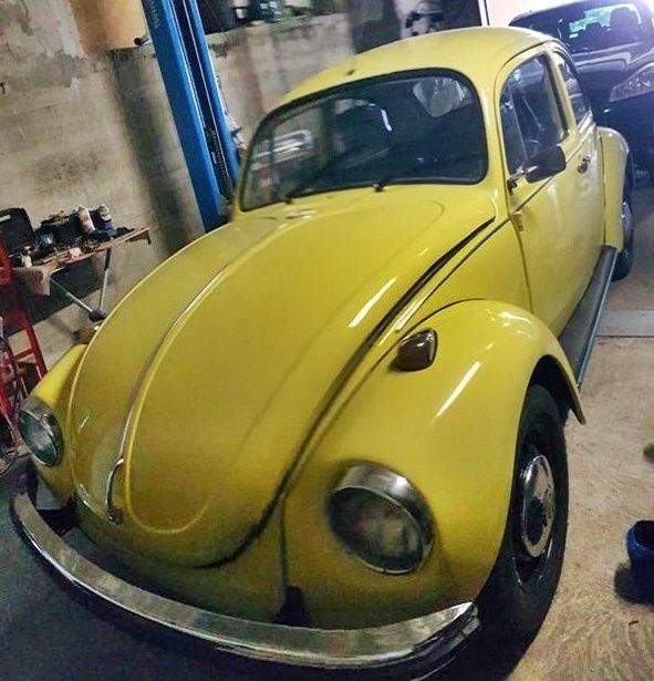 Volkswagen - Beetle 