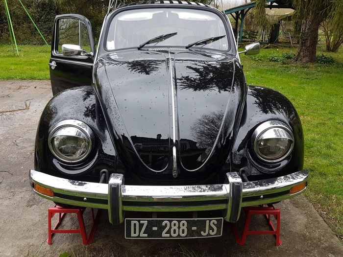 Volkswagen - Beetle - 