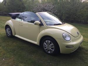 VW BEETLE CONVERTIBLE in Hailsham | Friday-Ad