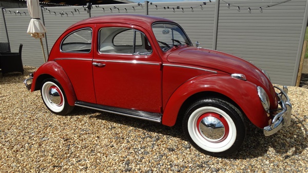 Volkswagen Beetle  [nut and bolt restored] LHD