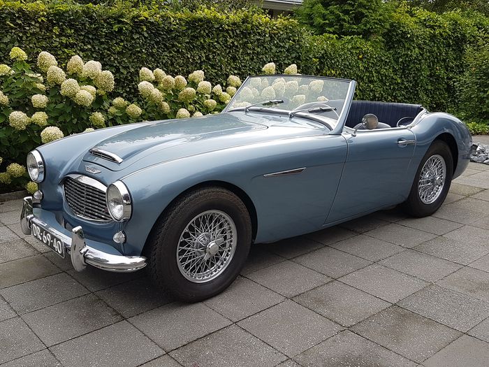 Austin Healey -  BT