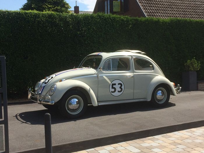 Volkswagen - Beetle (Herbie) - 