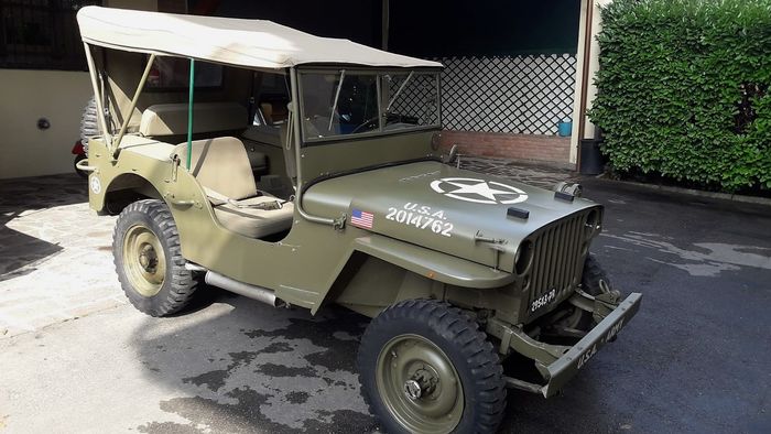 Jeep - Willys - 