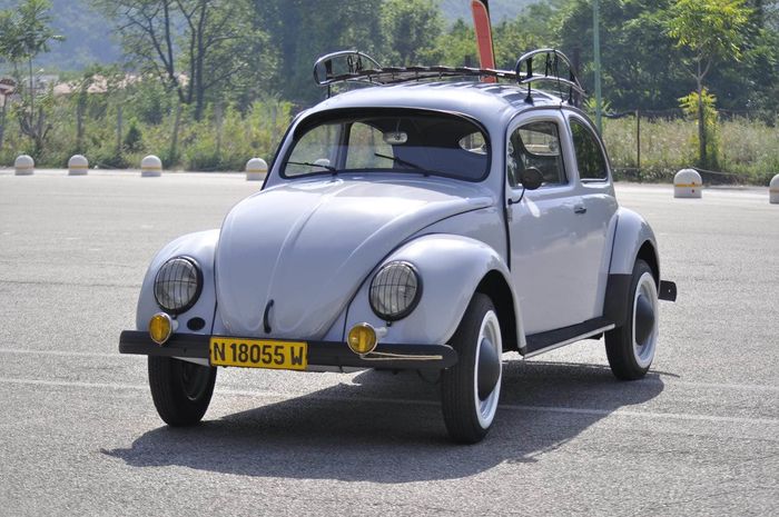 Volkswagen - Kafer- 