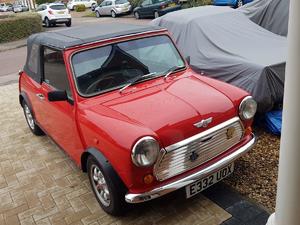 Classic Rover 'Red Hot Edition' Mini  in Ashford |