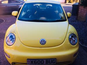 Excellent Condition Volkswagen Beetle  in Eastbourne |