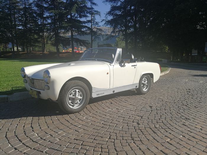 MG - Midget 