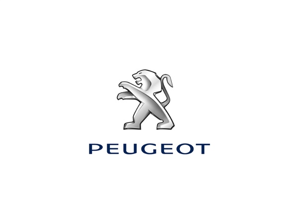 Peugeot Expert  BlueHDi 120 Asphalt Van Van