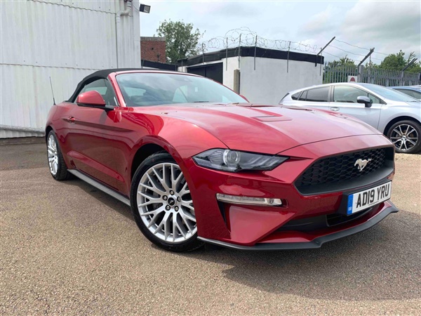 Ford Mustang 2.3 EcoBoost 2dr Convertible 290ps New Model