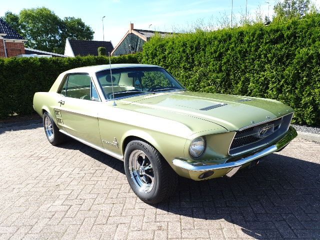 Ford - Mustang Hardtop Coupe V