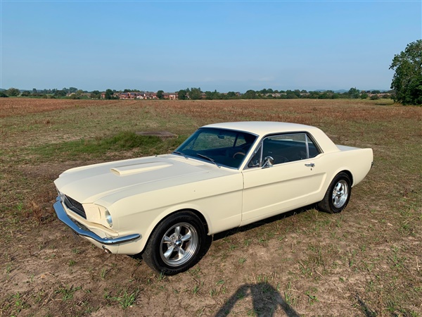 Ford Mustang - 302 V8 COUPE -
