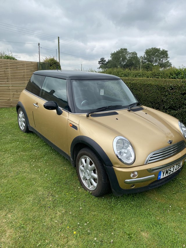 For sale lovely gold mini one 