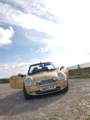 Mini Convertible  in Gold in Peacehaven | Friday-Ad