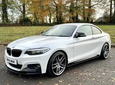 BMW 2 Series DIESEL COUPE