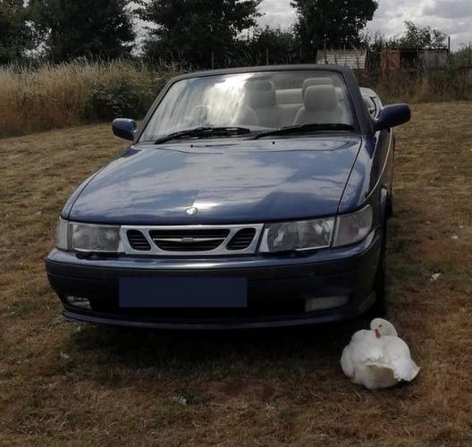 Saab 9-3 SE Turbo  Convertible